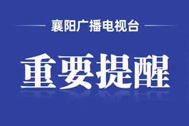 孩子被狗咬住，怎样让它松口？图片