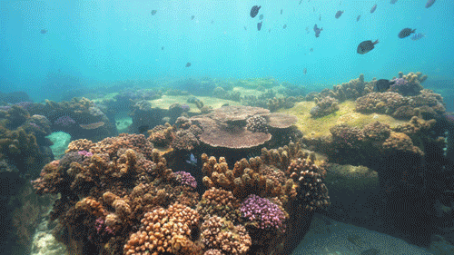 上天入海，动静皆宜的宝藏海岛打卡指南