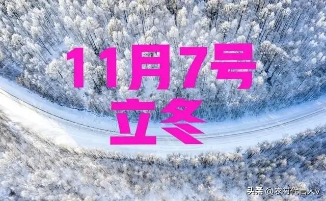 “立冬不过午，三九雪堵门”，明日立冬，今年冬天雪大吗？早了解