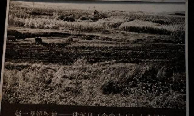 1960年，烈士赵一曼儿子写信讽刺毛主席，主席看后只回复了6个字