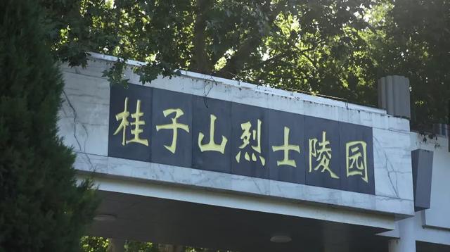 六合,红了!