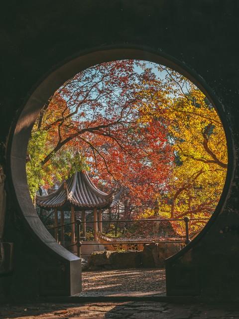 9 月，奔赴苏州本色的秋日之约