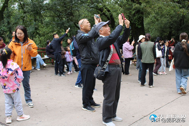 【多彩“双节” 畅游麦积】麦积山大景区国庆假期“热”力全开：雨晴交替景不同，两日迎客近5万人次