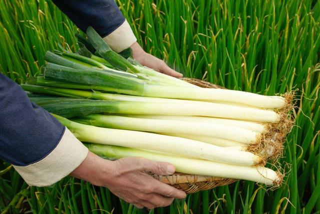 “立冬4不吃，病就不找来！”11月7立冬，哪4不吃？应时节乐过冬