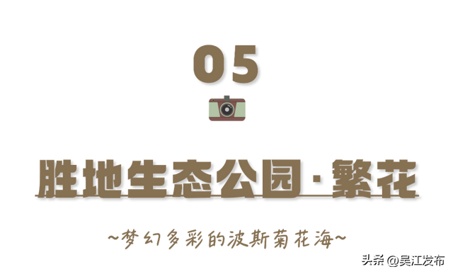 周末去打卡丨太好拍~东太湖绝美机位，“框框”出大片！