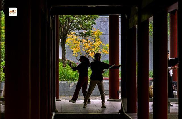 古城与秋叶的交响