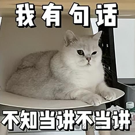 小扎改口不开源，Meta股价暴涨12%