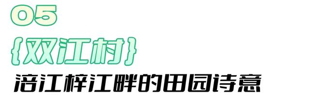 在射洪，你真的可以把日子过成诗~