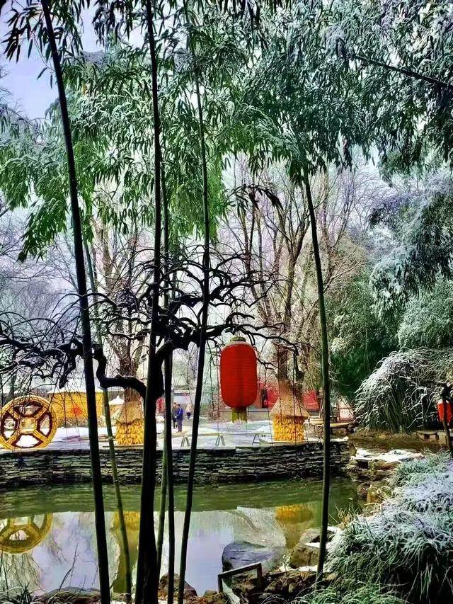 惠民又好玩！临沂36项文旅优惠+69项活动上线