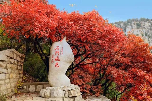 最新实拍！潍坊这里迎来“全红时刻”！