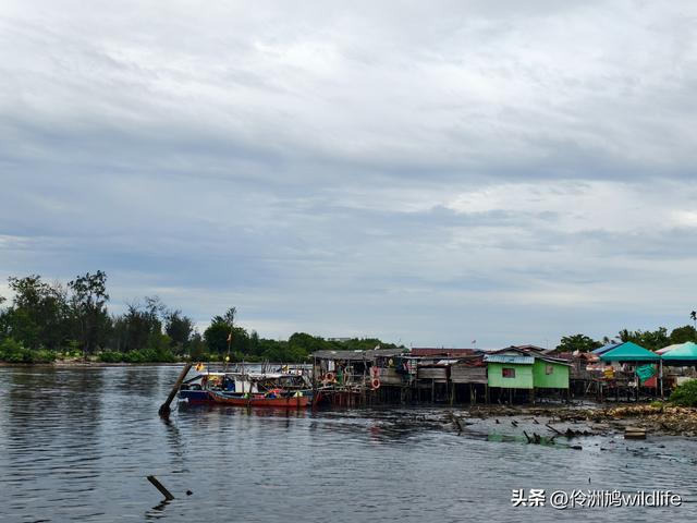 马来西亚(33)砂拉越州⑦美里市加拿大山、海滨公园等