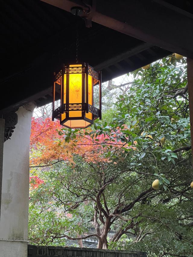 杭州红叶季：桂花之后百花杀，旖旎红叶胜百花。