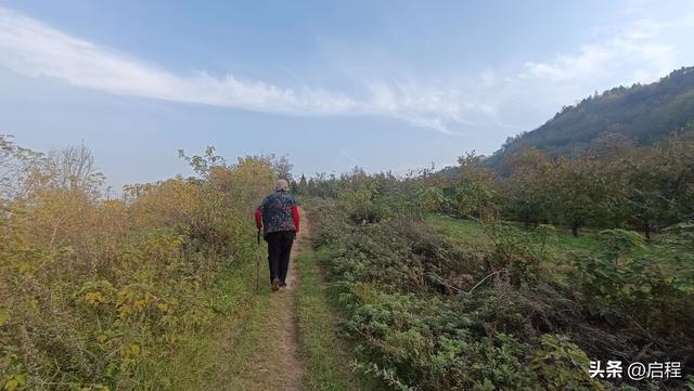 我们从塬上走过