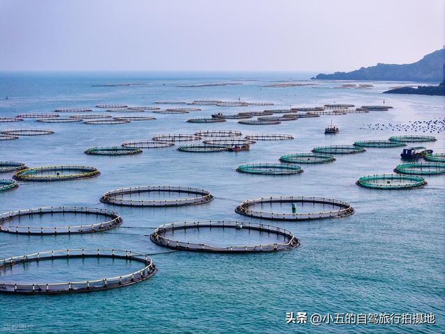温州 2-3 天实测攻略！南麂岛 + 雁荡山 + 百丈漈，避坑 + 美食全说透