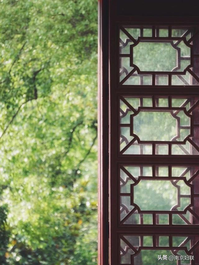 南京这些“魔法之窗”，怎么拍都出片！