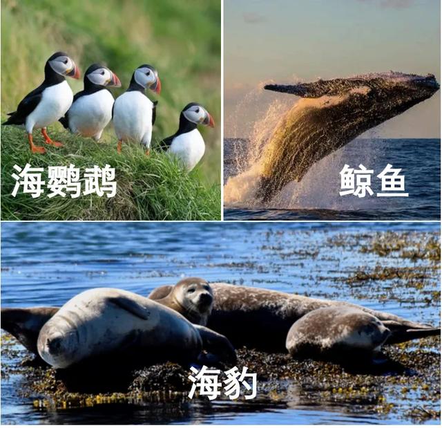 杭州太热了，我要带全公司去冰岛团建了…