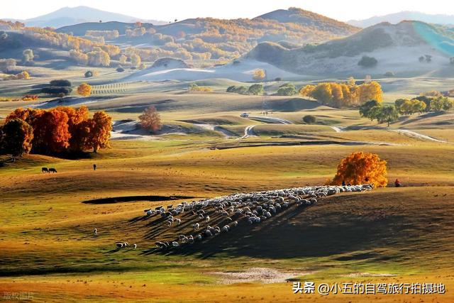 9 地秋日赏秋实测攻略！附最佳时间 + 落地玩法，收藏直接走