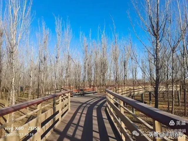 初冬北京玉河湿地公园游记|申艳娟