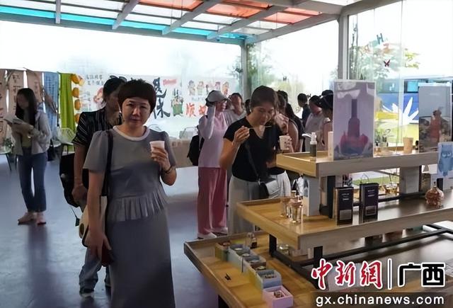 广西横州推出茉莉闻香之旅，展“世界茉莉花都”魅力