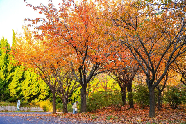 山景正宜人！青岛这里的山，已美到Next level