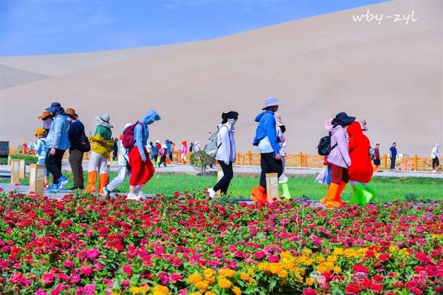 快来看，大漠敦煌又一波花海来袭