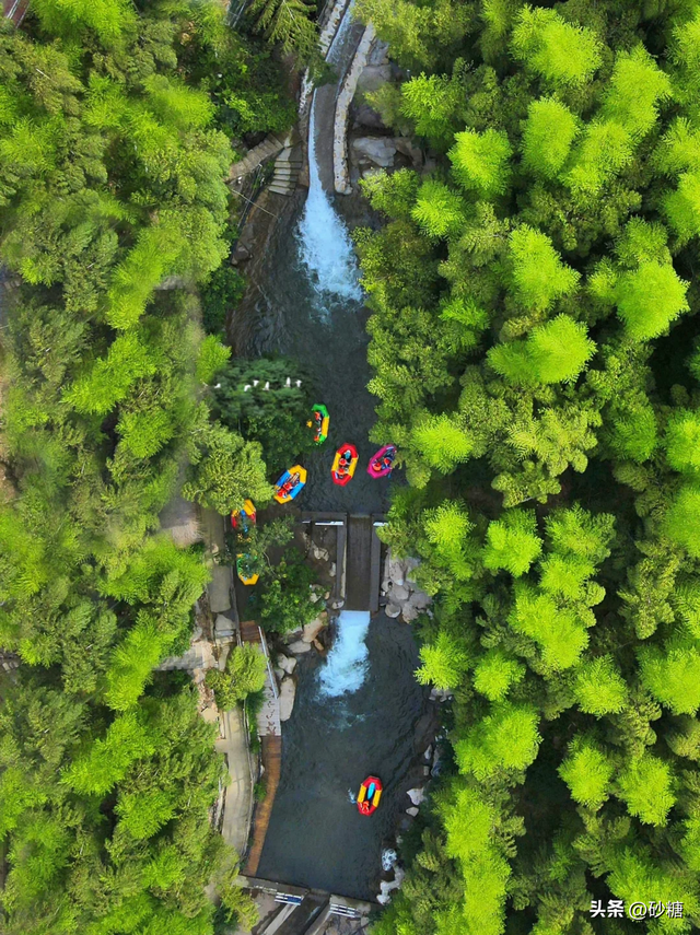 国庆自驾游！逃离城市2小时，闯入浙江这个童话森林，太梦幻了！