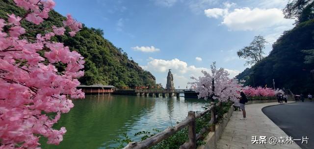 两性关系：女人多大岁数就不想男人了，过来人告诉你实情