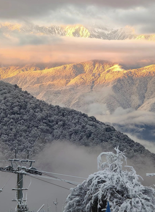 在雅安！！这么美的雪景我当然狠狠宣传啊啊啊！！
