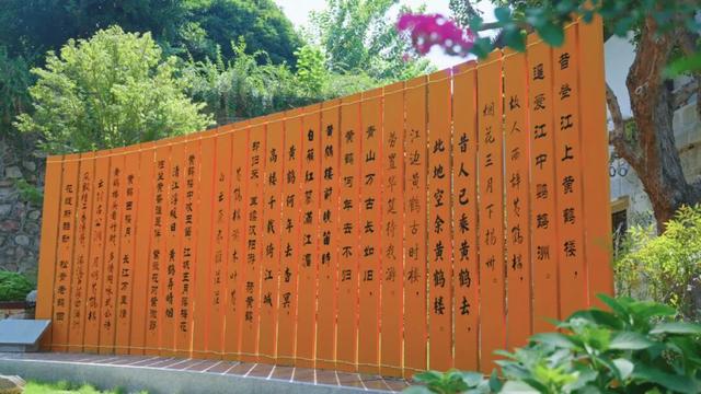 登高揽胜！她见证武汉巨变，三镇风华依然“于斯为盛”