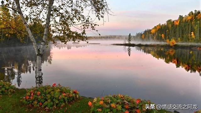 夫妻相处：退休后仍愿意一起旅行的伴侣，通常是这三类人！