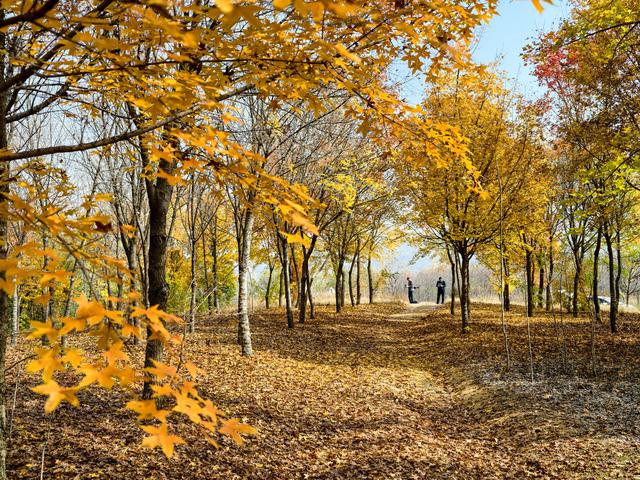 泗水县万紫千红旅游区：静谧而斑斓的生态画卷
