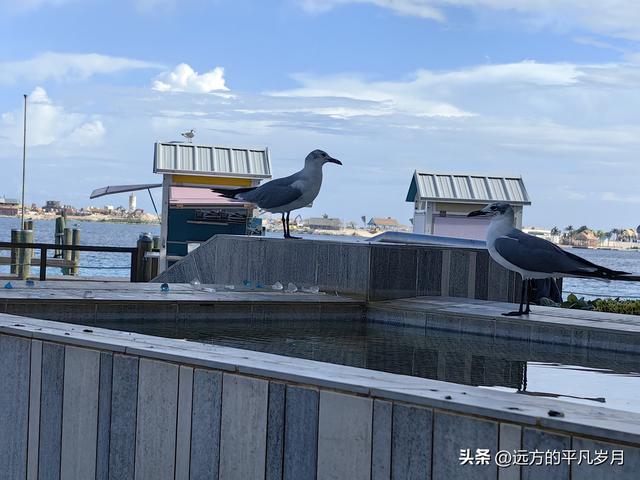 Wonder of the seas海洋奇迹号（5天4晚海上游轮）