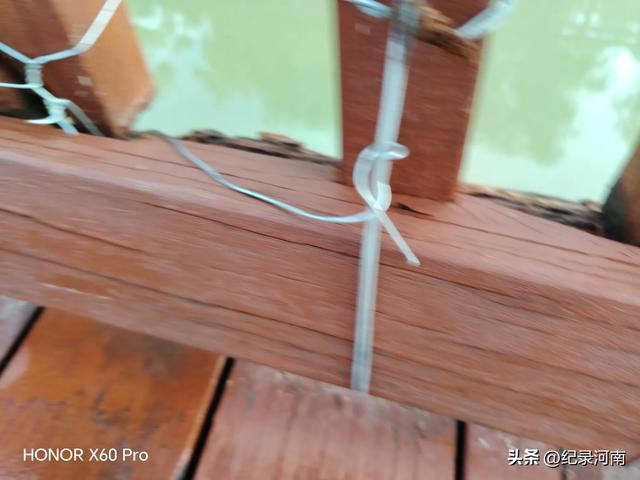 全国文明城市柘城县国家湿地公园榕湖斥巨资升级的人行栈道现状