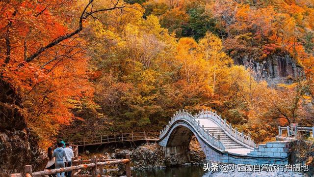 本溪十月赏枫实测攻略！“中国枫叶之都” 交通 + 景点 + 环线不踩坑