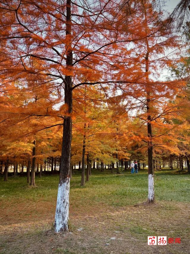 距离城区7公里,绍兴有一处秘境!