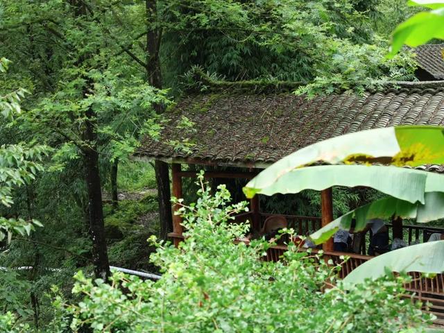 成都以西的隐秘小村，赏萤火虫、溪涧踩水、探秘溶洞…1.5h刹拢！