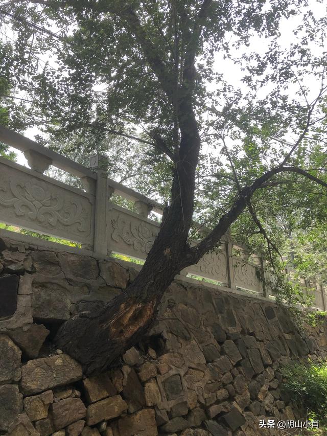 行摄包头市东河区转龙藏龙泉寺