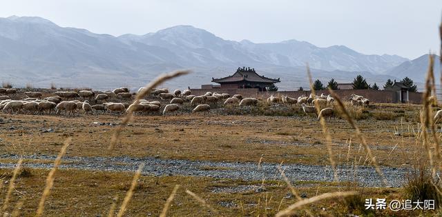 初冬，古城迎来西行客