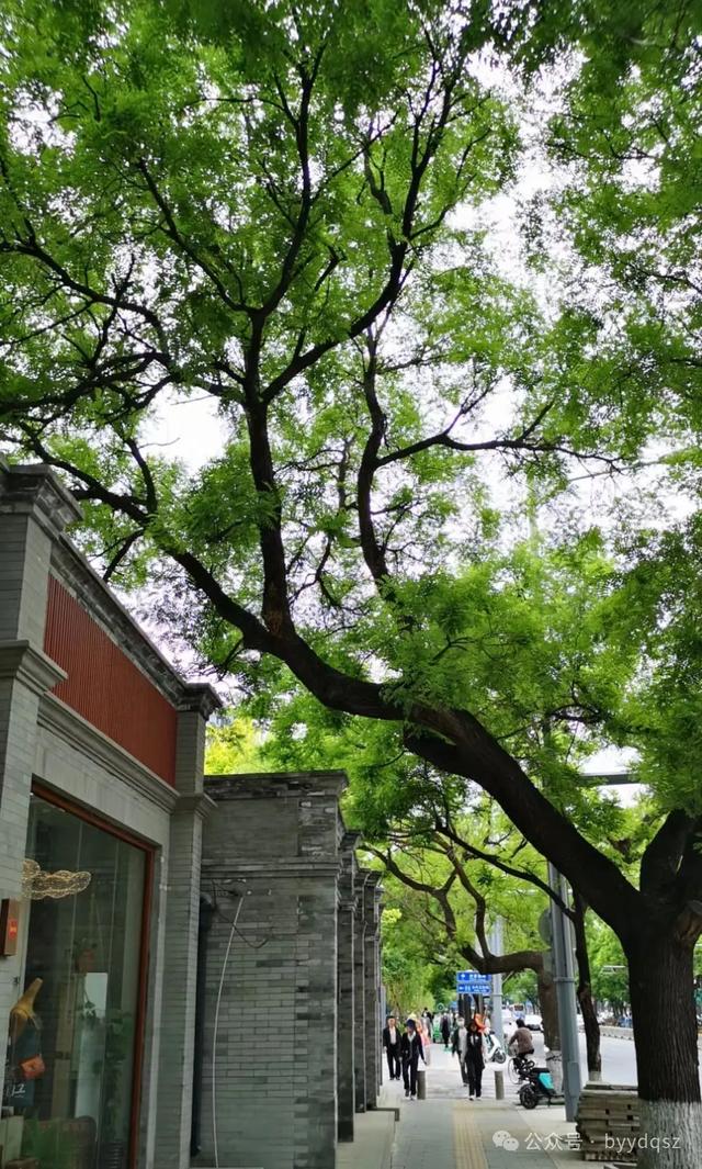此处何等美景