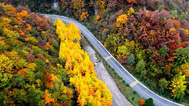 神农架秋色终极指南：这样玩，从入门到精通！