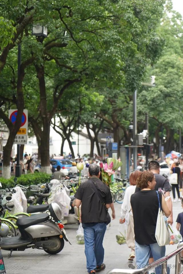 苏州古城区微汗版Cityride，吃面、看荷、围观午后点滴