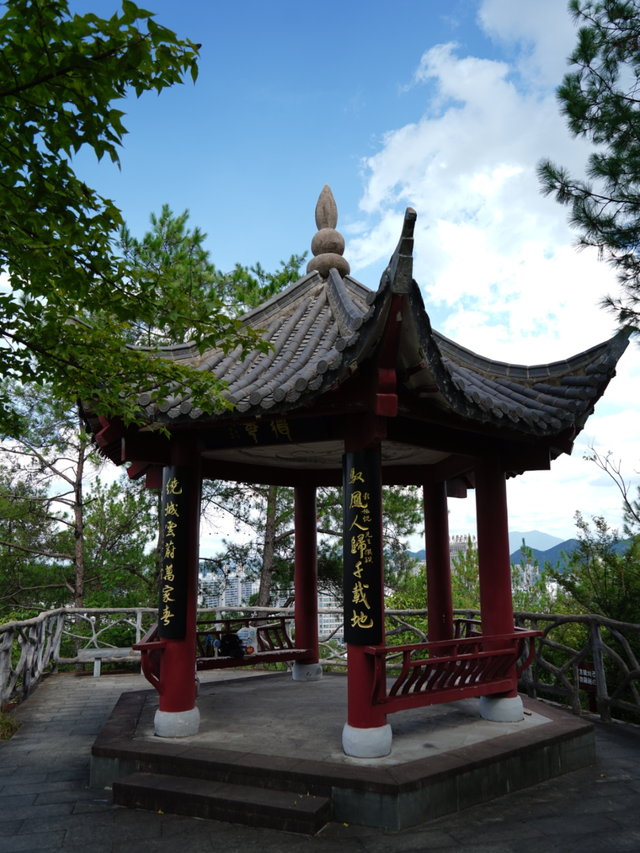 黄山治愈系打卡！20 分钟公园漫游，和“班味”说拜拜 | 皖美冬日 | 第十五届安徽国际文化旅游节