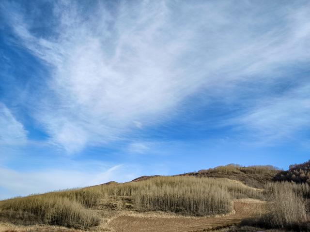 古浪：冬日清欢藏诗画