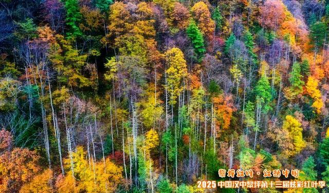 不让雨水留遗憾，黎坪景区诚邀您免费重游！