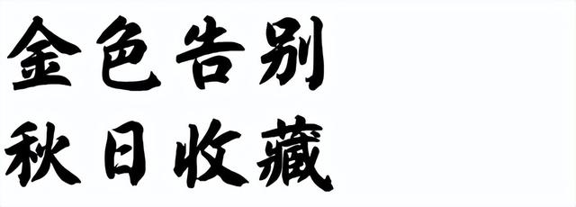 山野拾童趣！带娃来汉中这里，共享秋日亲子好时光~