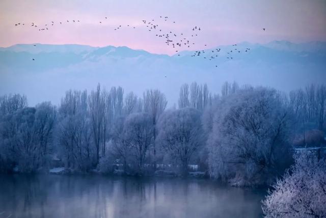 如要选一个冬季最佳拍雪景的地方,首选一定是它