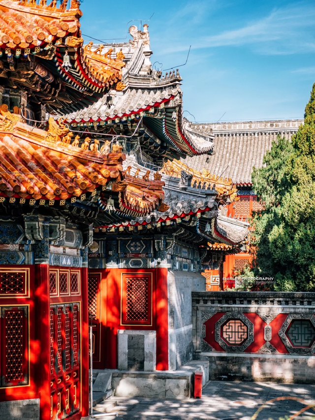 比故宫便宜，比天坛人少！快来免费的“京西小故宫”光影美绝了！