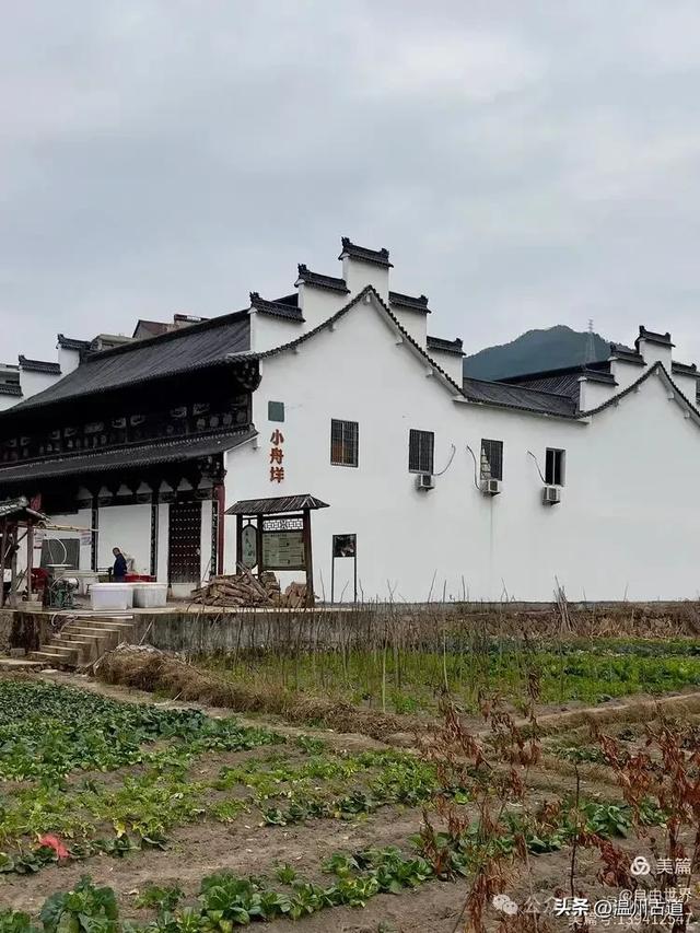 一步一景，奇石不断！温州这处奇石纷呈的的免费景区你可去过？