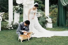 重庆婚礼｜心爱的狗狗送戒指给最爱的人🐶图片