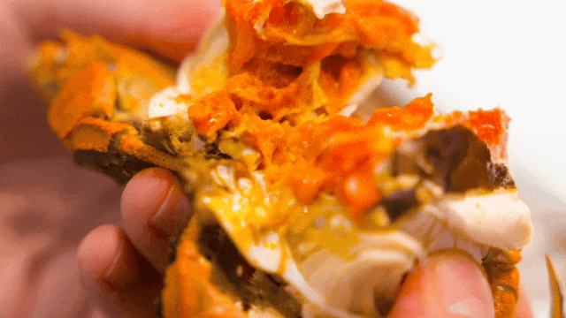 来东营，从从容容游刃有余！